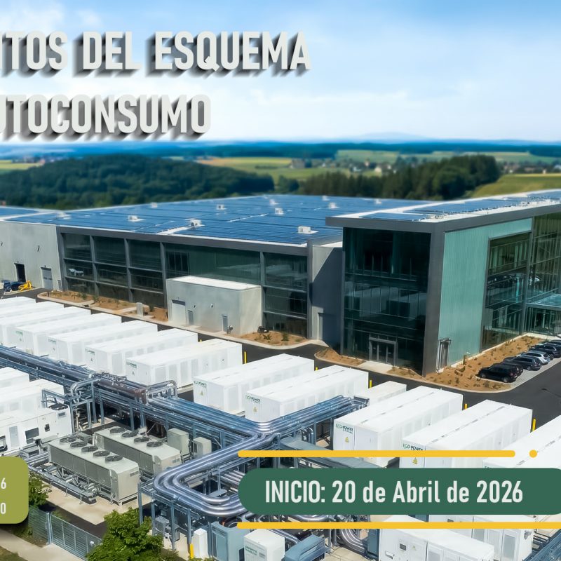 FUNDAMENTOS DEL ESQUEMA DE AUTOCONSUMO