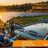 BOMEBEO SOLAR ANUNCIO
