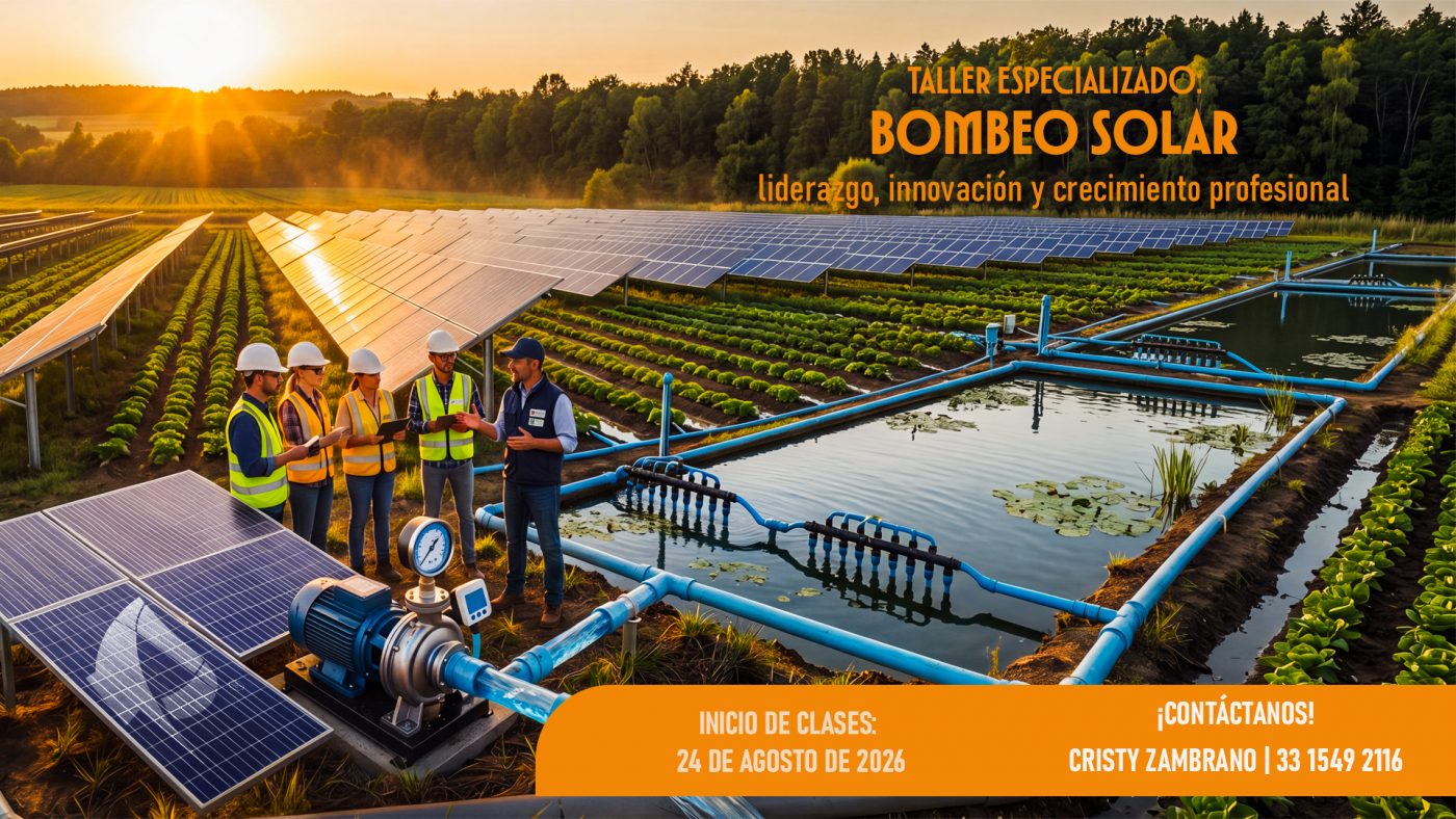 BOMEBEO SOLAR ANUNCIO